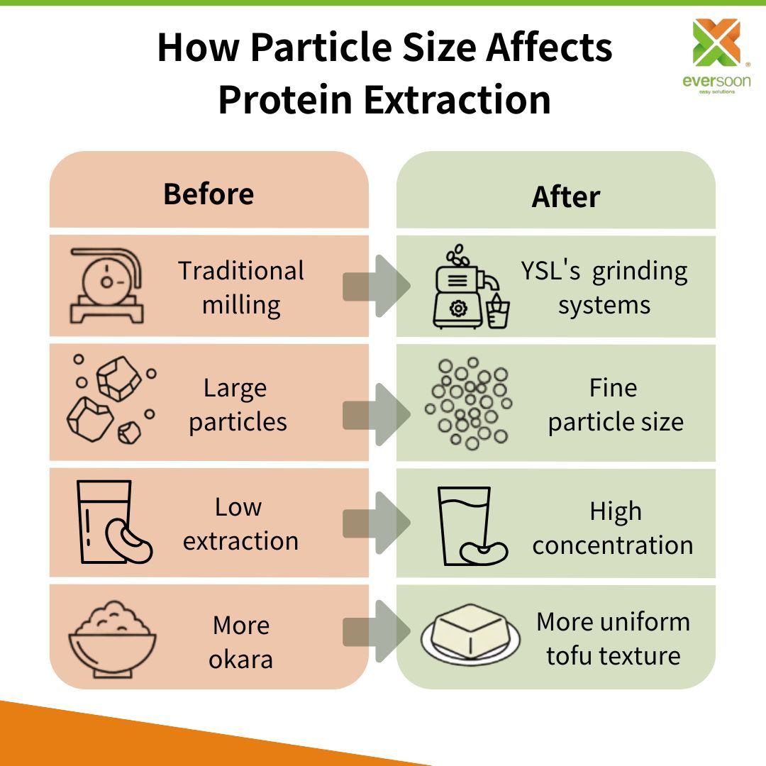 soybean-grinding-particle-size-before-after-extraction-efficiency-tofu-texture
